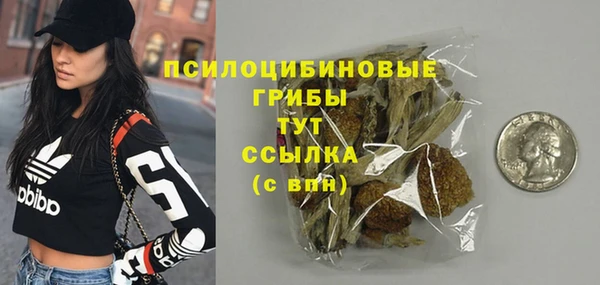 шишки Дмитриев
