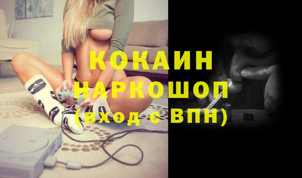 шишки Дмитриев