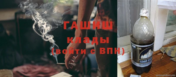 гидра Дмитров