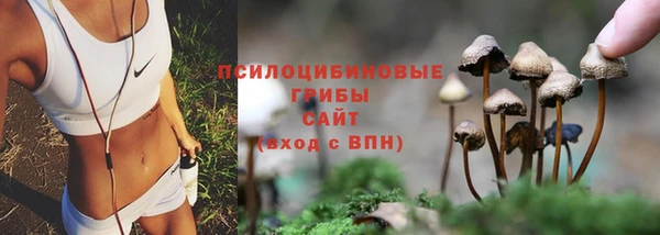 бутират Чердынь