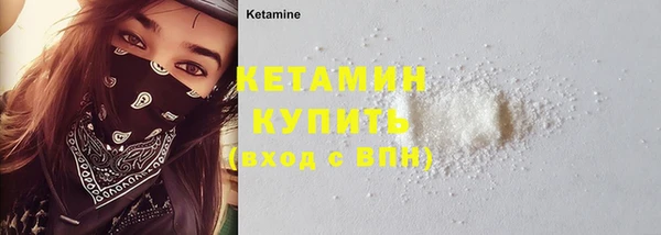 шишки Дмитриев