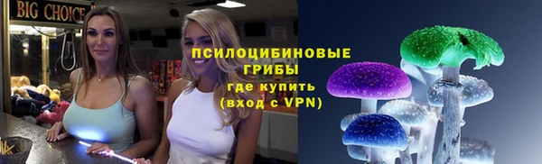 гидра Дмитров