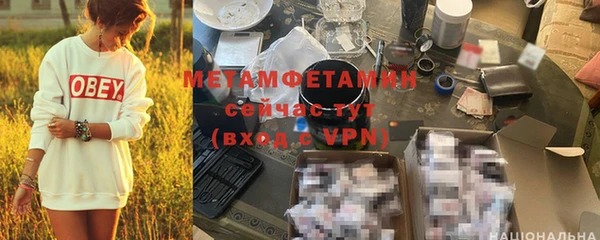 шишки Дмитриев