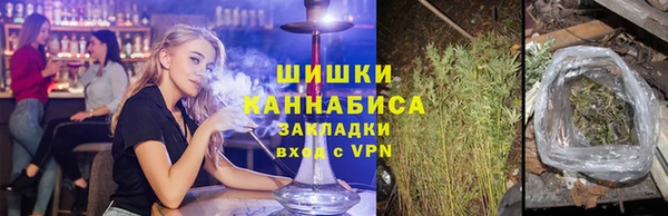 шишки Дмитриев