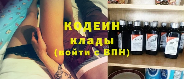 шишки Дмитриев