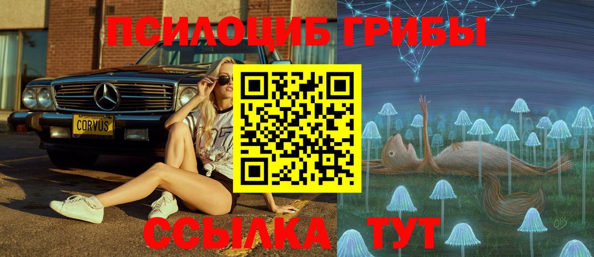 Галлюциногенные грибы Cubensis Дивногорск